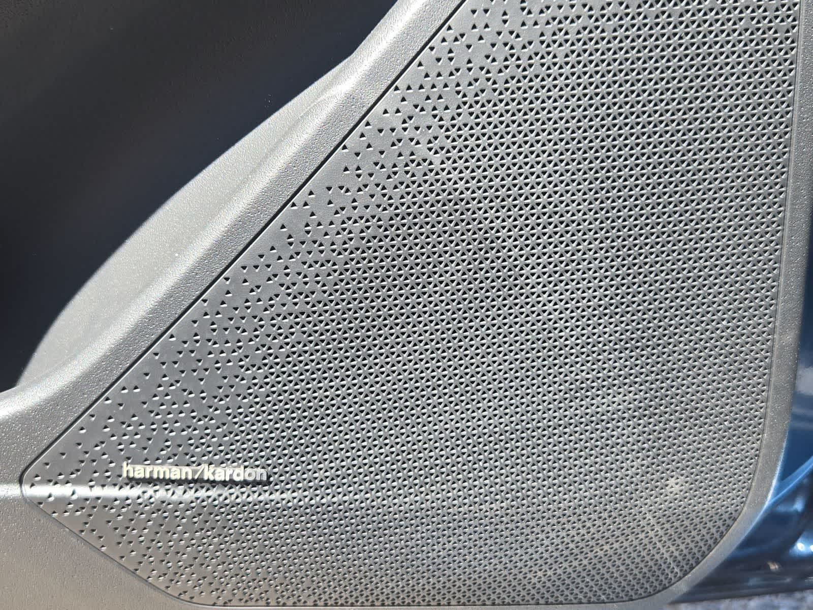 2025 Kia Niro EV Wave