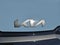 2027 Kia Sportage Plug-In Hybrid X-Line Prestige